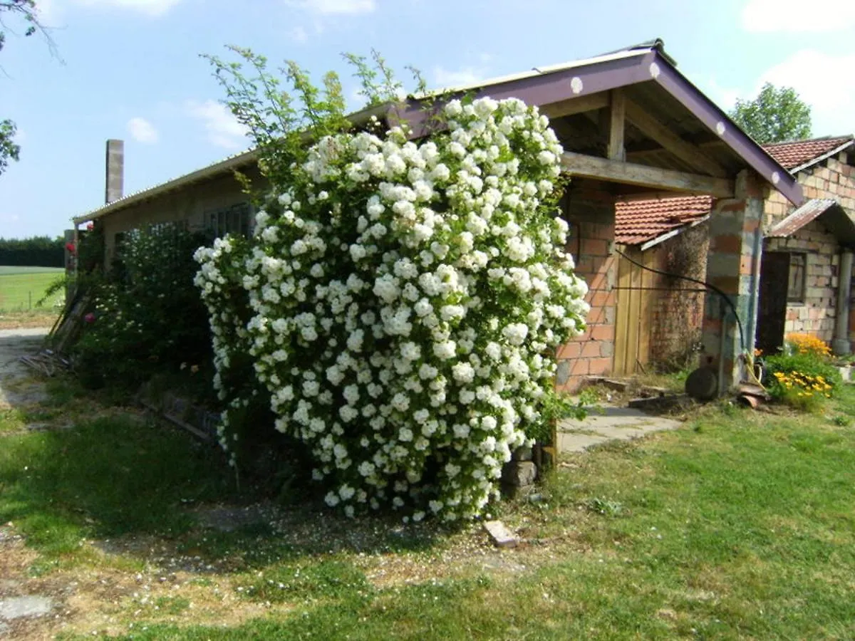 Maison Familiale Avec Piscine Partagee A Moissac, Jardin